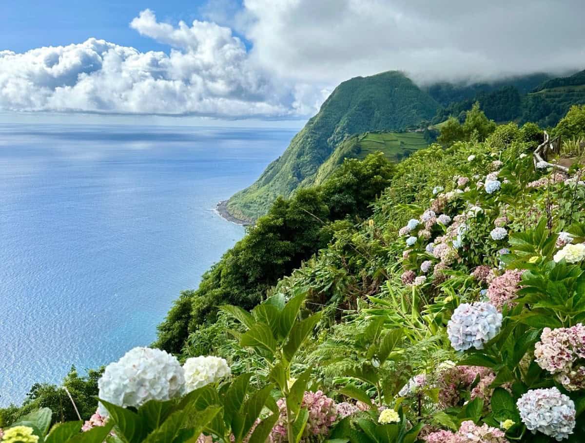 about one girl whole world