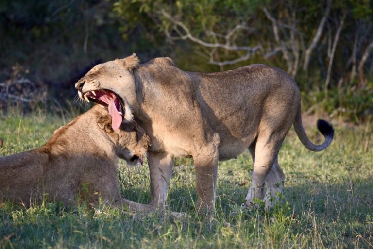 about one girl whole world